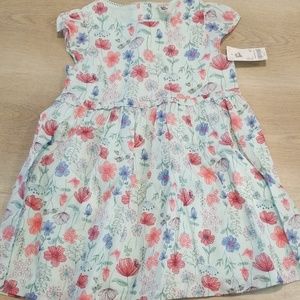 Girls Toddler Spring Dress